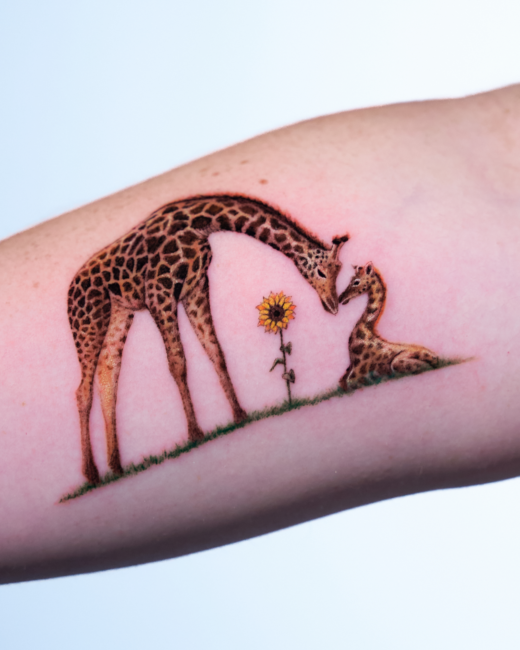 Tattoo work by Amanda at MT Tattoo Collective Denver - 11